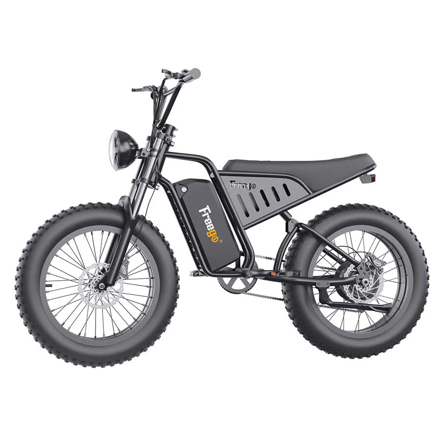 swego electric bicycle Denago City Model 1 Commuter Ebike | Step-thru ebike for women Effortless Control and Longer Rides The Minivan SE torque sensor lets you control the ride effortlessly Three Wheel Electric Motorcycle Wheel