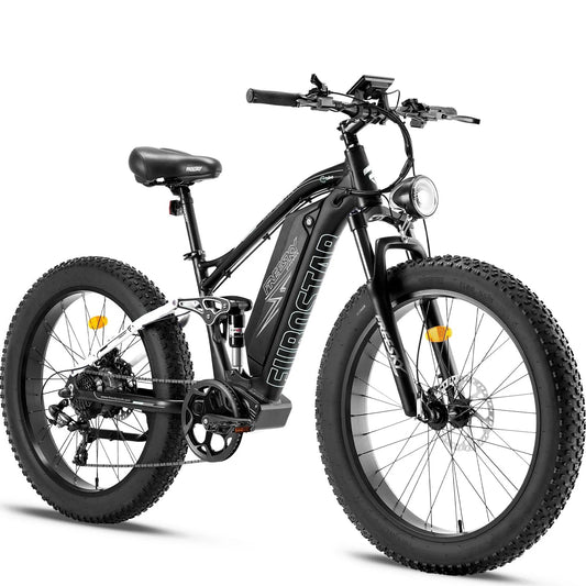 FREESKY Eurostar M - 410 1000 w Mountain Ebike 4 Fat Tire Electric Fat Tire Mountain eBike - Mountain eBike - eBike Super Shop