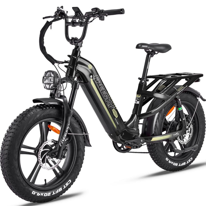 FREESKY Rocky 750 w Step Thru Ebike 20x4 Fat Electric Cargo eBike - Cargo eBike - FREES|CARGO|BLACK|0568 eBike Super Shop