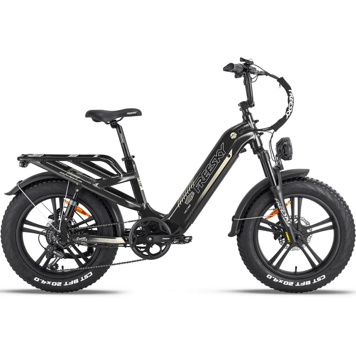 FREESKY Rocky 750 w Step Thru Ebike 20x4 Fat Electric Cargo eBike - Cargo eBike - FREES|CARGO|RED|0570 eBike Super Shop