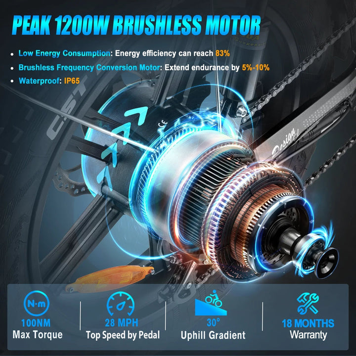 FREESKY Rocky 750 w Step Thru Ebike 20x4 Fat Electric Cargo eBike - Cargo eBike - FREES|CARGO|RED|0570 eBike Super Shop