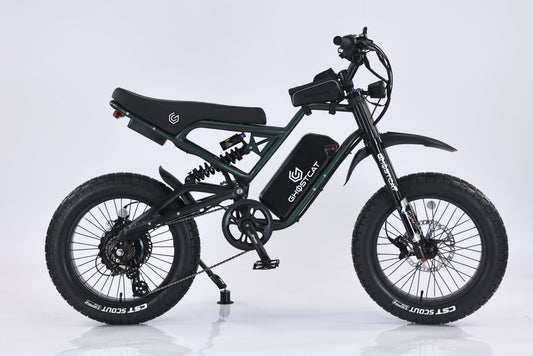 GHOSTCAT F3x.2 1500W Pro - Dirt - GHOST|F3x.2 1500|25 ah|Army eBike Super Shop