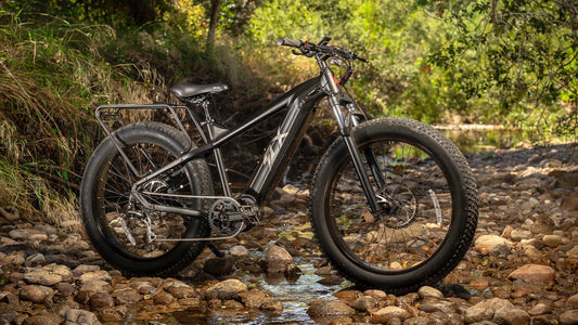 Gladiator 2.0 - Bike - GL2 - BLACK - TOURING - 840 eBike Super Shop