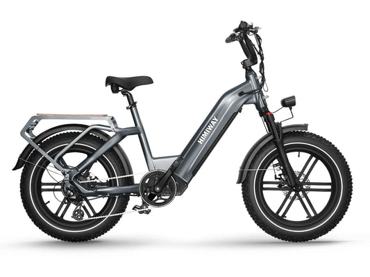 HIMIWAY Big Dog 750 w Step Thru Ebike 20x4 Fat Electric Cargo eBike - Cargo eBike - eBike Super Shop