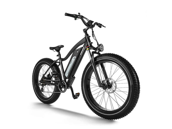 HIMIWAY Cruiser D3 750 w Step Over Ebike 26x4 Fat Fat Tire Electric Beach Cruiser eBike - Fat Tire eBike - HIMIW|FATT|0159 eBike Super Shop