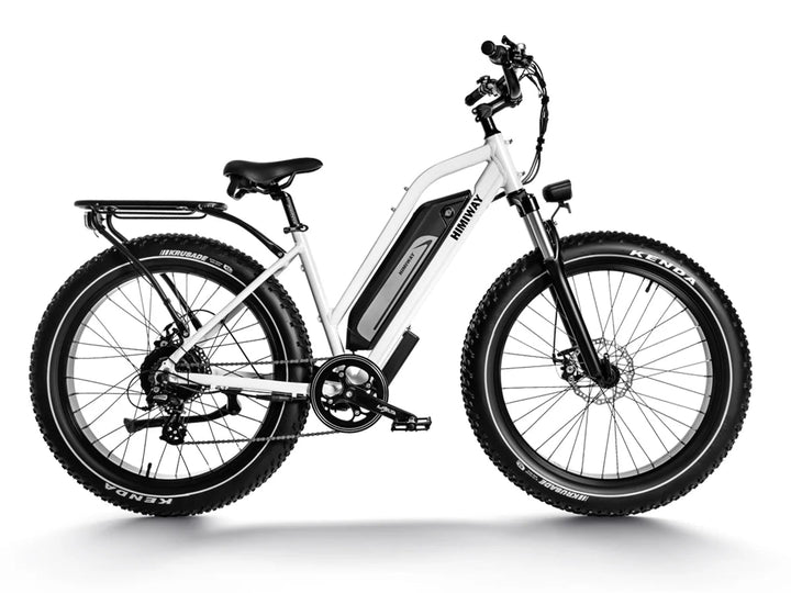 HIMIWAY Cruiser ST D3 750 w Step Thru Ebike 26x4 Fat Electric Fat Tire Mountain eBike - Fat Tire eBike - HIMIW|FATT|0160 eBike Super Shop