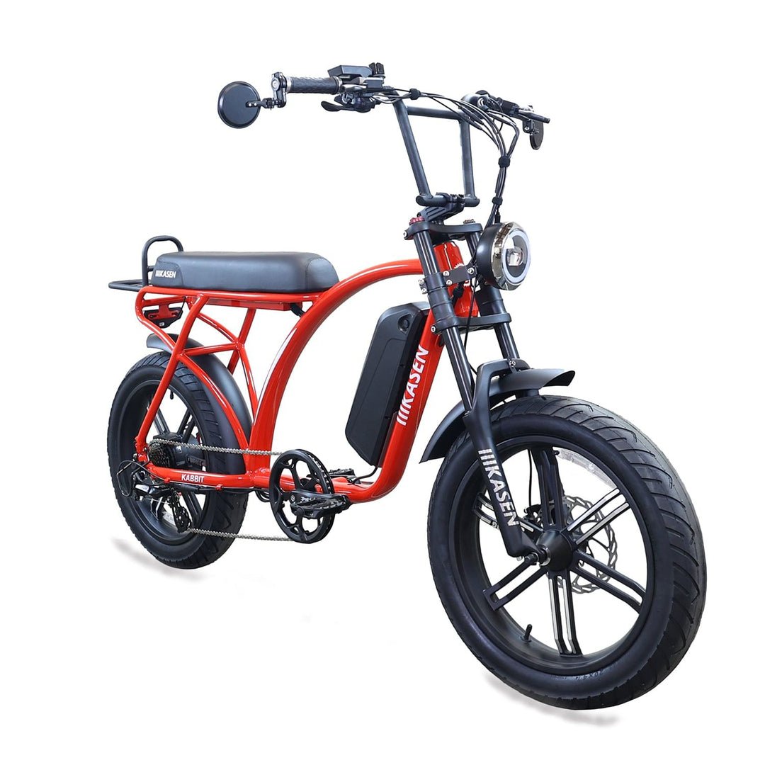 KANSEN Kabbit Plus 750W Electric Bike - Fat Tire e-Moto eBike