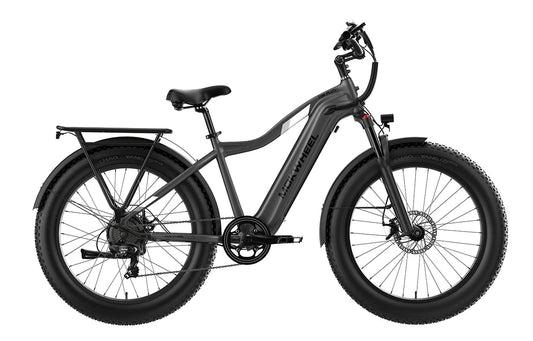 MOKWHEEL Tor Plus 750 w Step Over Ebike 26x4 Fat Tire Fat Tire Electric Beach Cruiser eBike - Fat Tire eBike - MOKWH|FATT|GREY|0130 eBike Super Shop