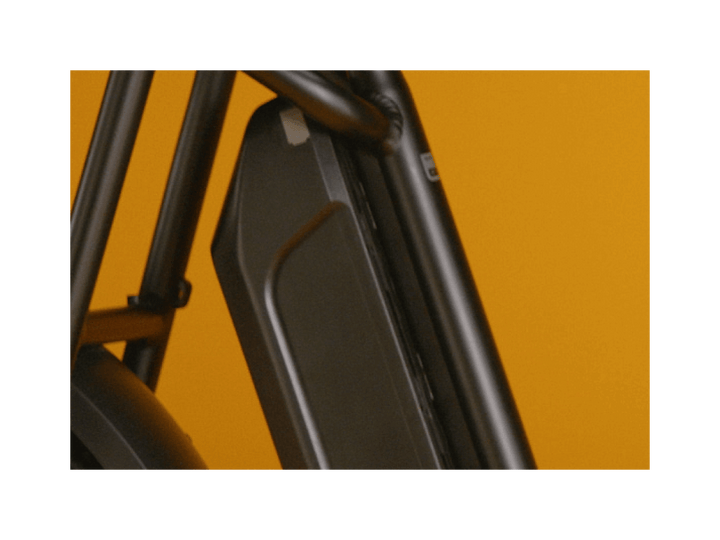 RadRunner™ Plus Electric Cargo Utility Bike - Electric Bike - 106 - 00065 eBike Super Shop