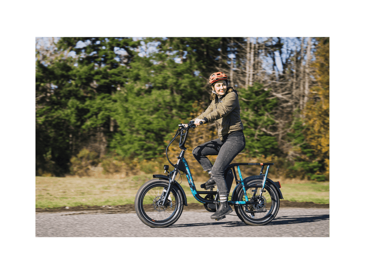 RadRunner™ Plus Electric Cargo Utility Bike - Electric Bike - 106-00065 eBike Super Shop