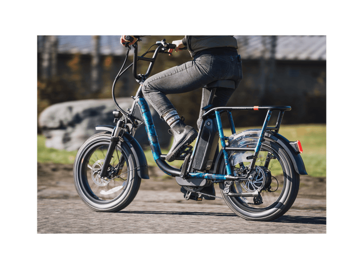 RadRunner™ Plus Electric Cargo Utility Bike - Electric Bike - 106-00065 eBike Super Shop