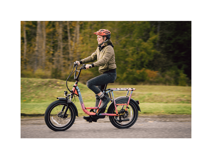 RadRunner™ Plus Electric Cargo Utility Bike - Electric Bike - 106-00065 eBike Super Shop