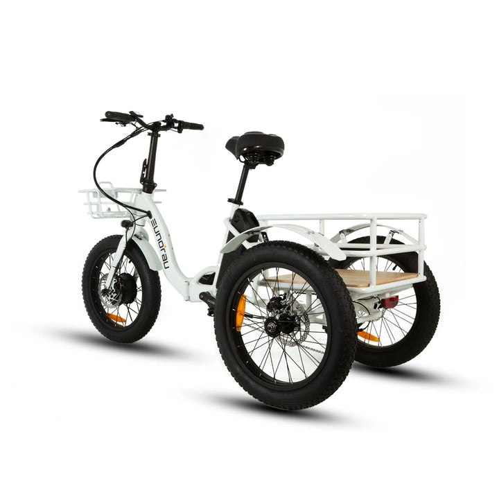  EUNORAU New Trike 500w Trike eBike 20x3 Fat Electric Trike 3 Wheel eBike